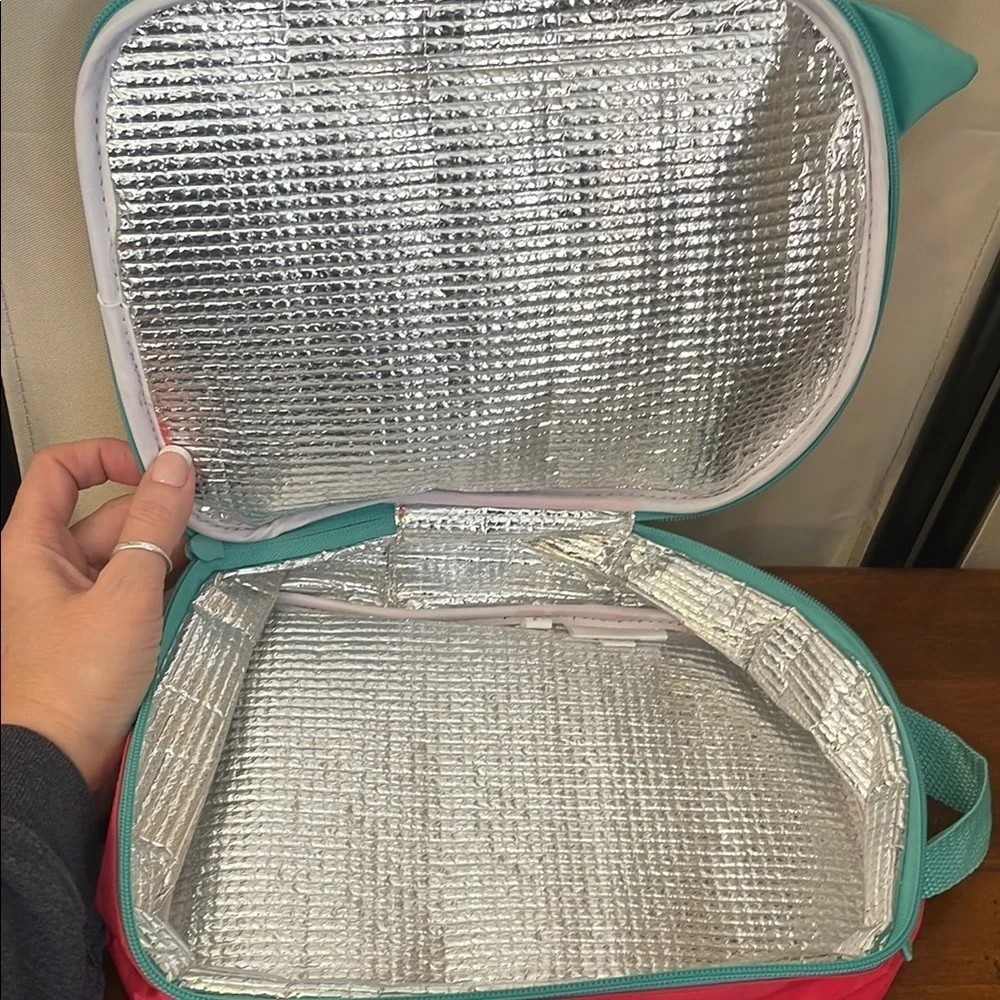 Thirty-one Pink and Green Owl Lunch Bag with Cartoon Eyes